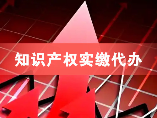 遵义知识产权实缴资本代办